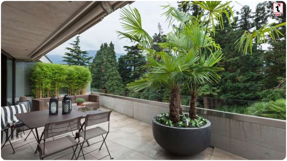 Terrace Gardening Tips