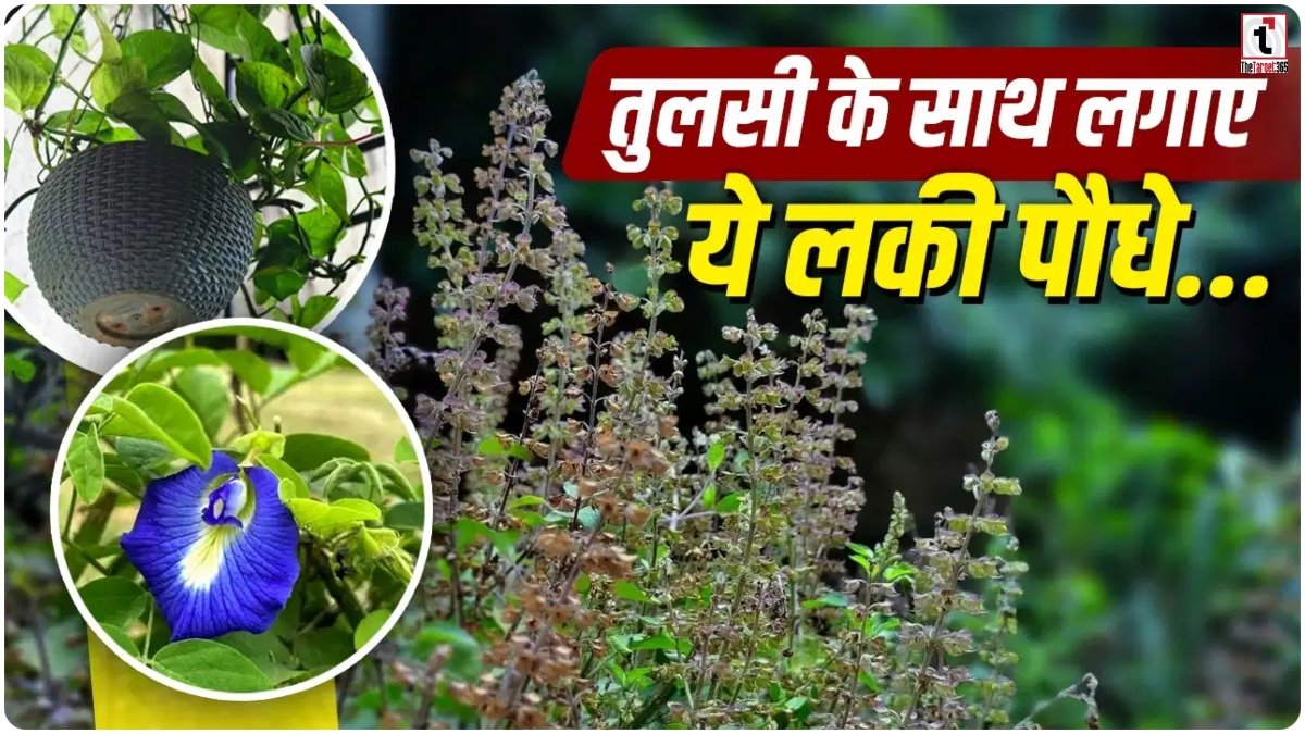 Vastu Tips