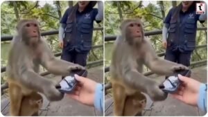 Viral Video