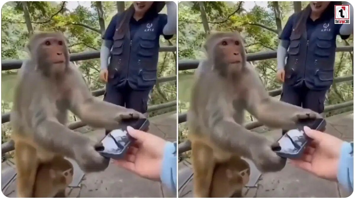 Viral Video