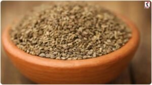 Ajwain Benefits