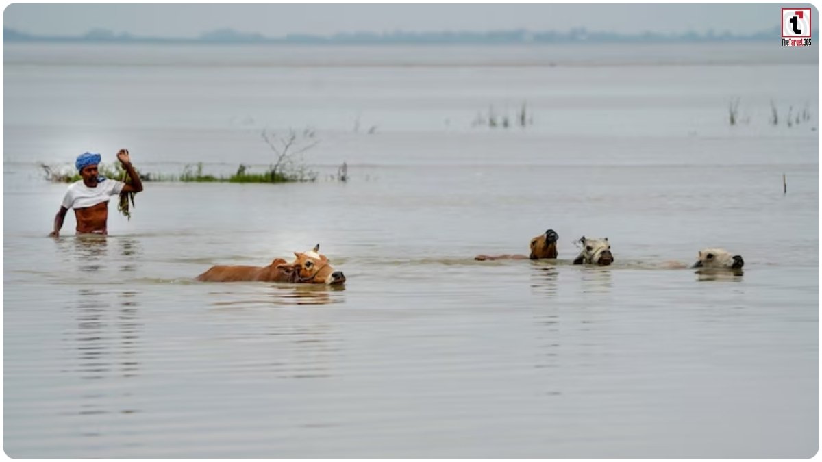 Assam Flood