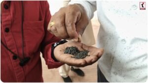 Bastar Fertilizer Row: