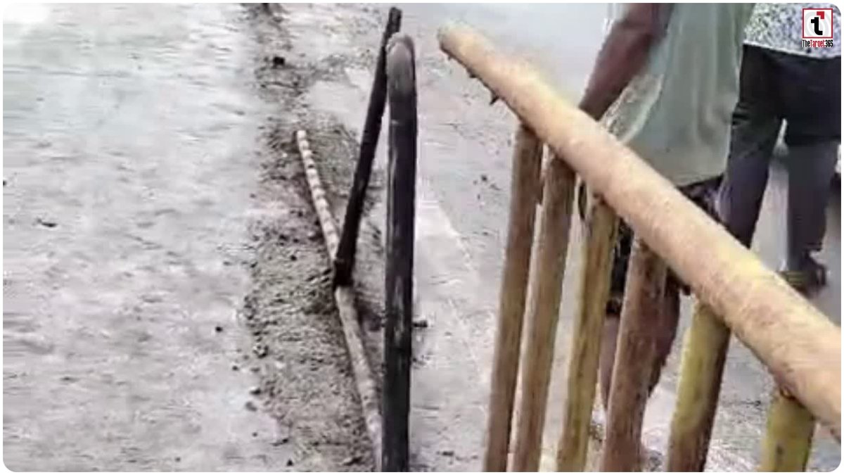 Bilaspur Road Accident