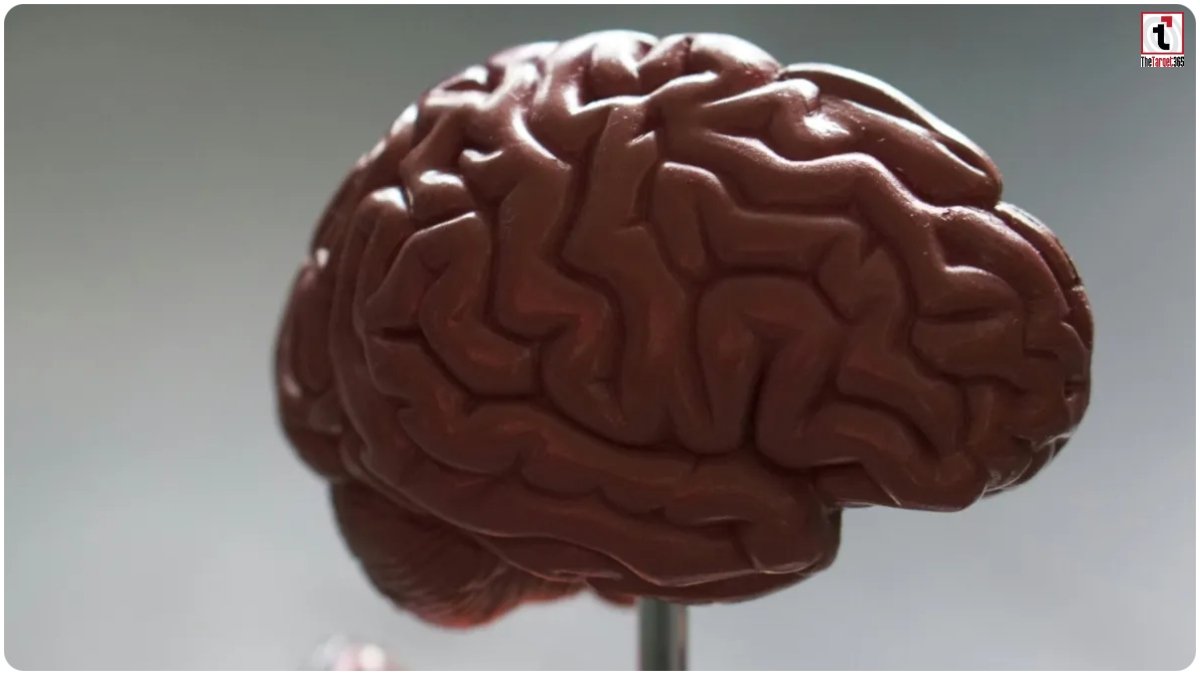Brain Cancer Symptoms