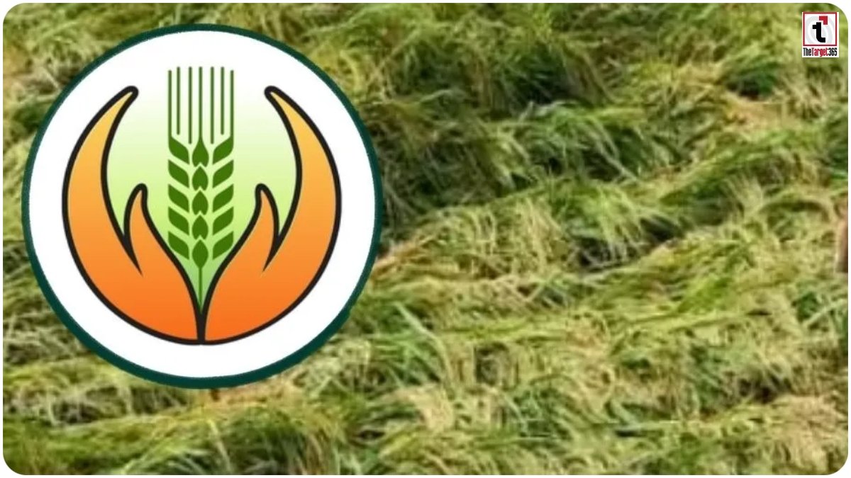 CG Kisan News