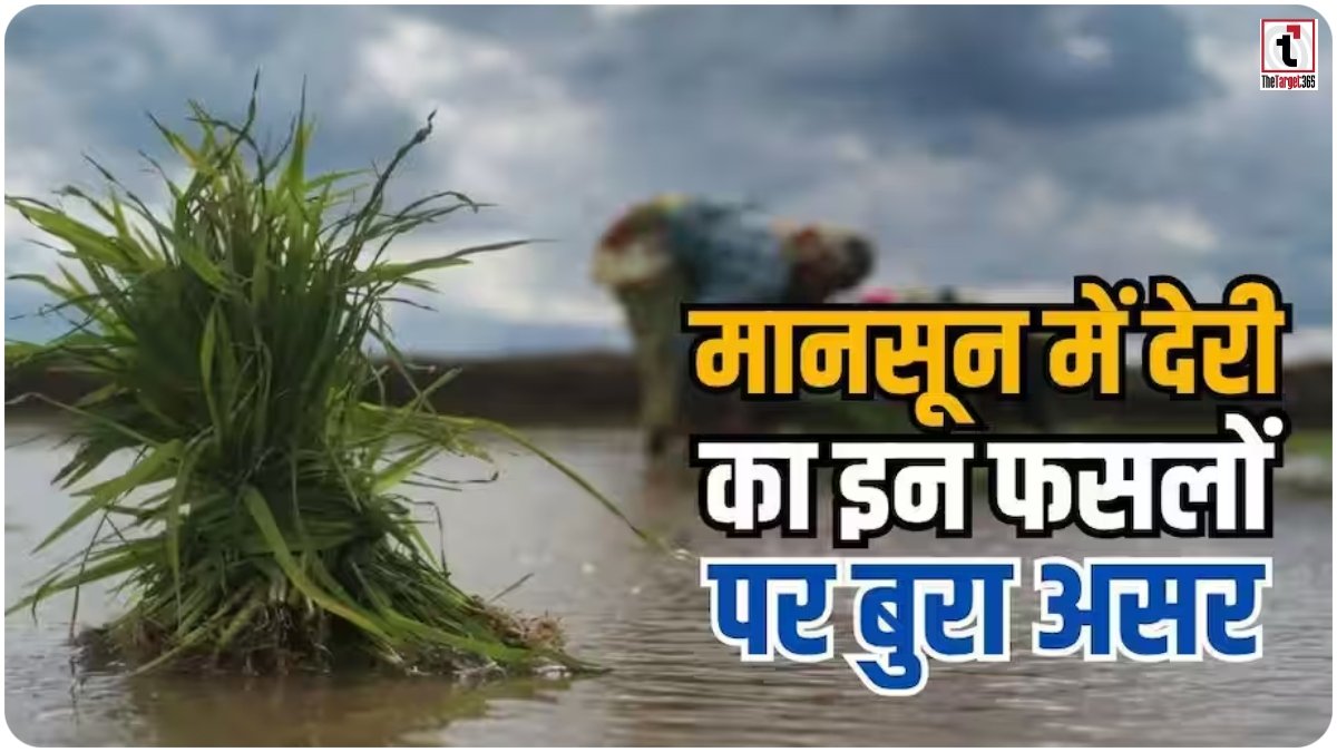 Delayed Monsoon Impact