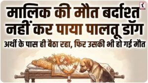 Dog Loyalty