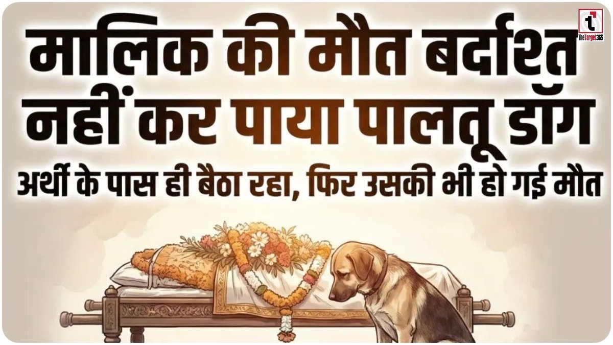 Dog Loyalty