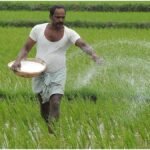 Farming Tips : खेती में यूरिया का सही इस्तेमाल कैसे करें? जानिए पैदावार बढ़ाने के वैज्ञानिक तरीके