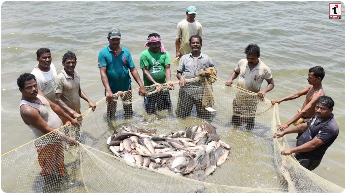 Fish Farmers Scheme