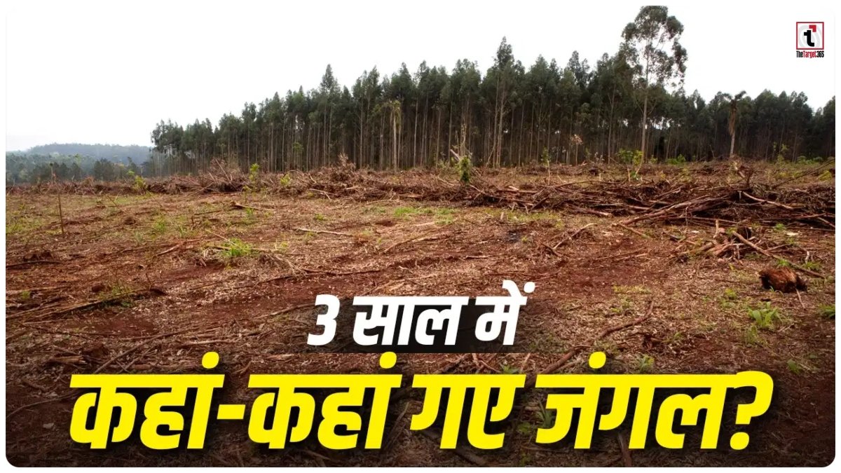 Forest Cover Loss