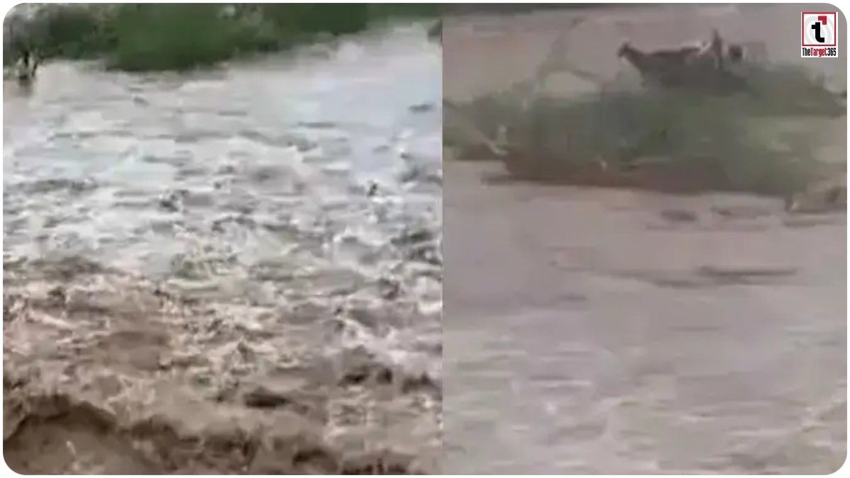 Gujarat Monsoon News