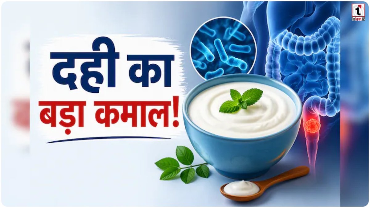 Gut Health