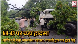 Ambikapur News : चलते ट्रक पर गिरा विशाल पेड़, चालक गंभीर घायल; NH-43 पर टला बड़ा हादसा
