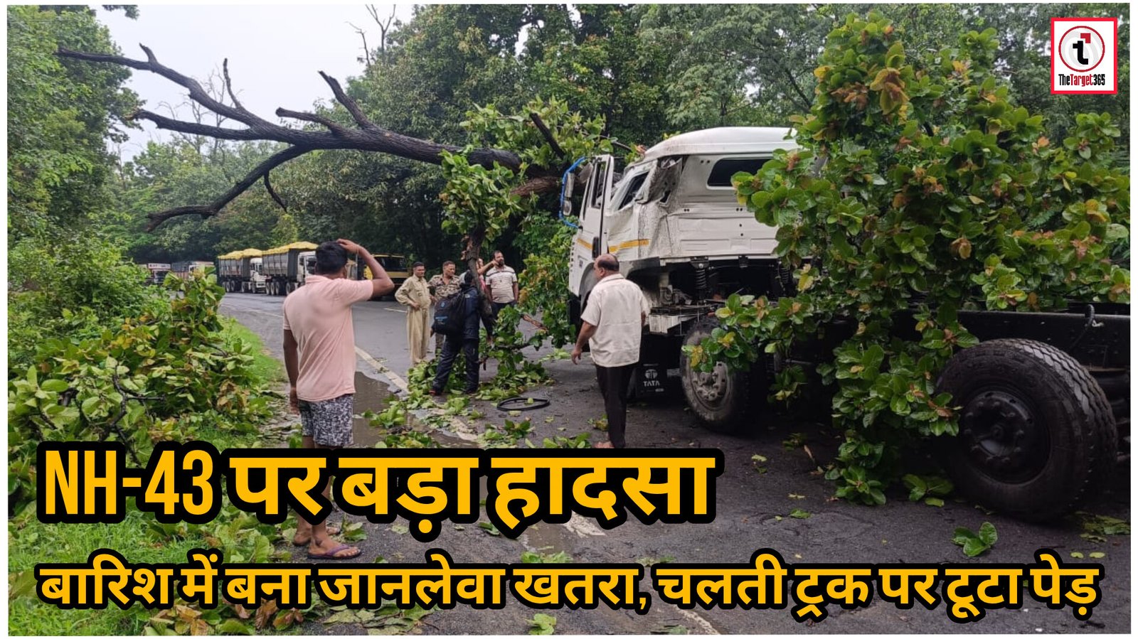 Ambikapur News : चलते ट्रक पर गिरा विशाल पेड़, चालक गंभीर घायल; NH-43 पर टला बड़ा हादसा