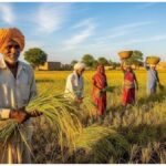 Indian Agriculture: 50 साल में कितनी बदली भारत की खेती, क्या बढ़ी किसानों की कमाई या सिर्फ लागत?