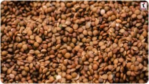 Kulthi Dal Benefits