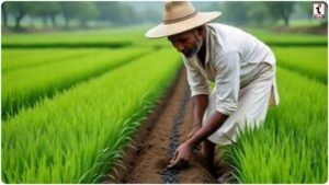 Long Term Profitable Crops