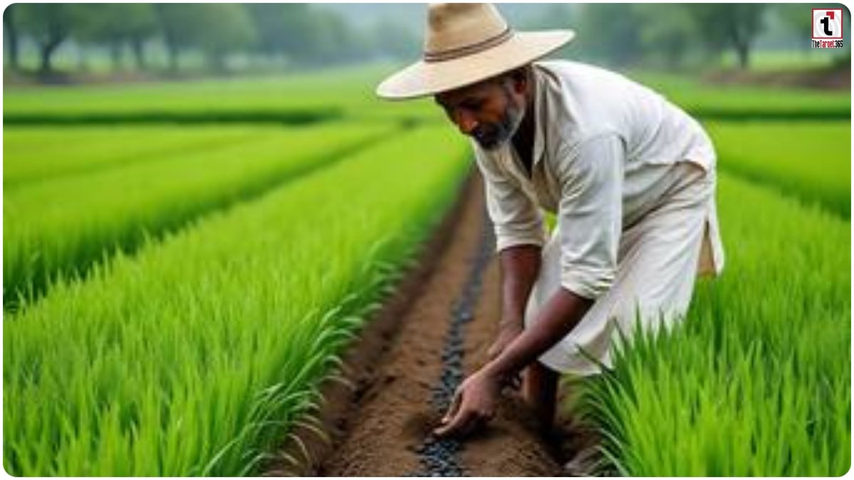 Long Term Profitable Crops