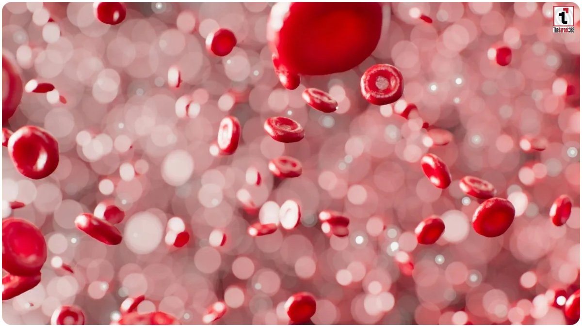Low Hemoglobin Diet