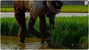 Maharashtra Farmers