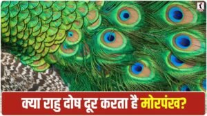 Mor Pankh Benefits