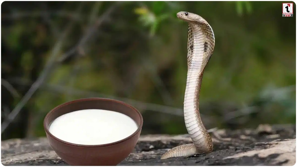Nag Panchami 2026