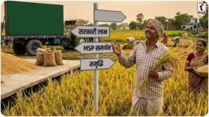 Paddy Farmers