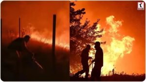 Spain Wildfire