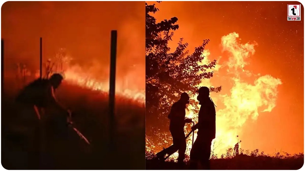 Spain Wildfire