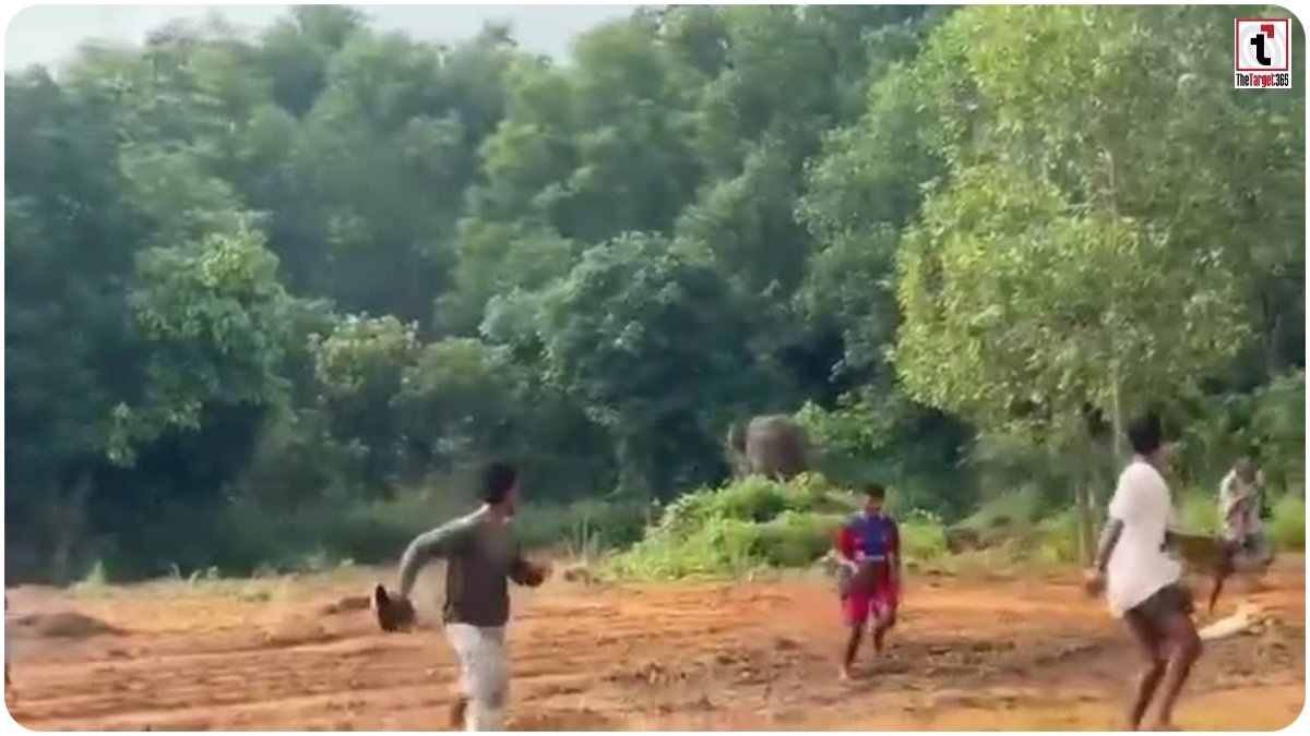 Surajpur Elephant Attack