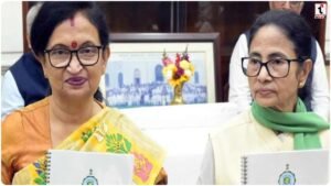 TMC News
