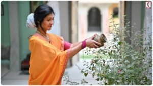 Tulsi Plant Vastu