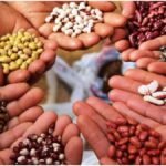 Beej Gram Yojana: बीज ग्राम योजना से किसानों को मिलते हैं कई बड़े फायदे, जानिए कैसे करें आवेदन