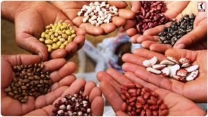 Beej Gram Yojana
