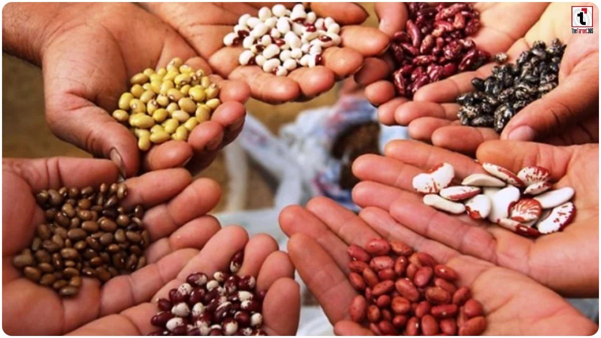Beej Gram Yojana