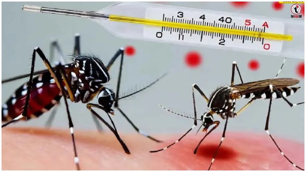 Bhopal Dengue Alert
