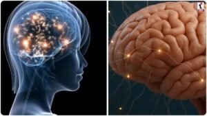 Brain Health