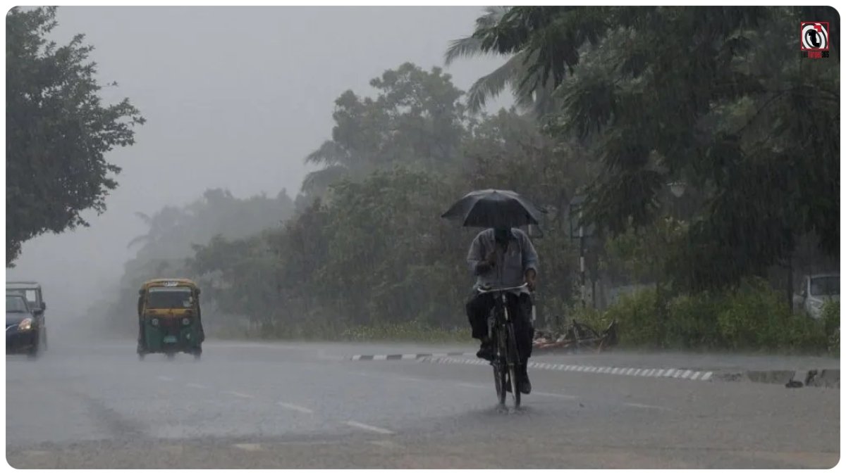 CG Weather Today