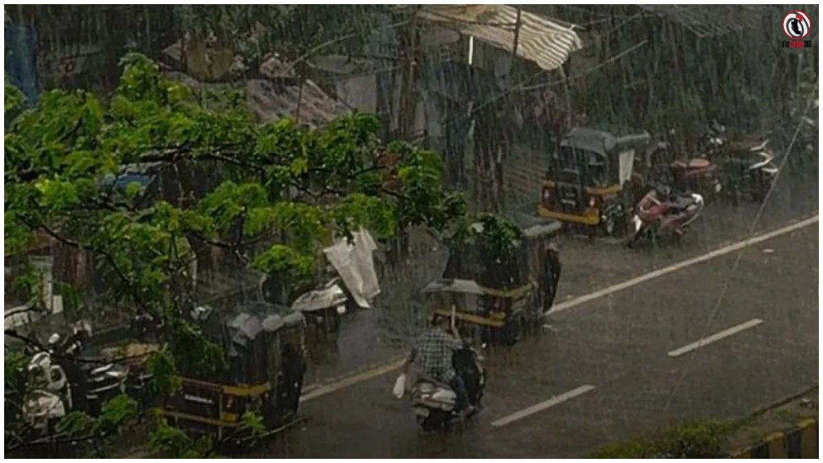 CG Weather Today