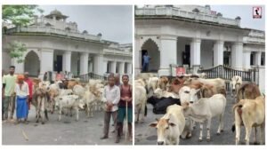 Farmers Satyagraha