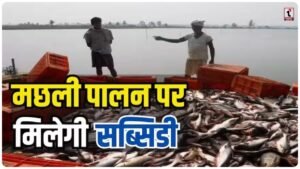 Fish Farming Subsidy