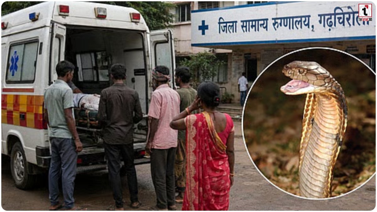 Gadchiroli Snakebite