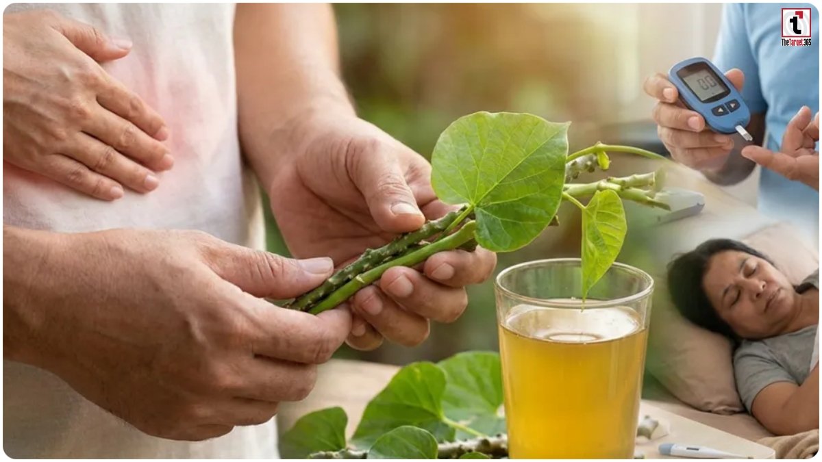 Giloy Benefits