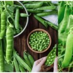 Grow Peas at Home: घर के गमले में उगाएं मटर, बीज बोने से लेकर पौधे की देखभाल तक जानें तरीका