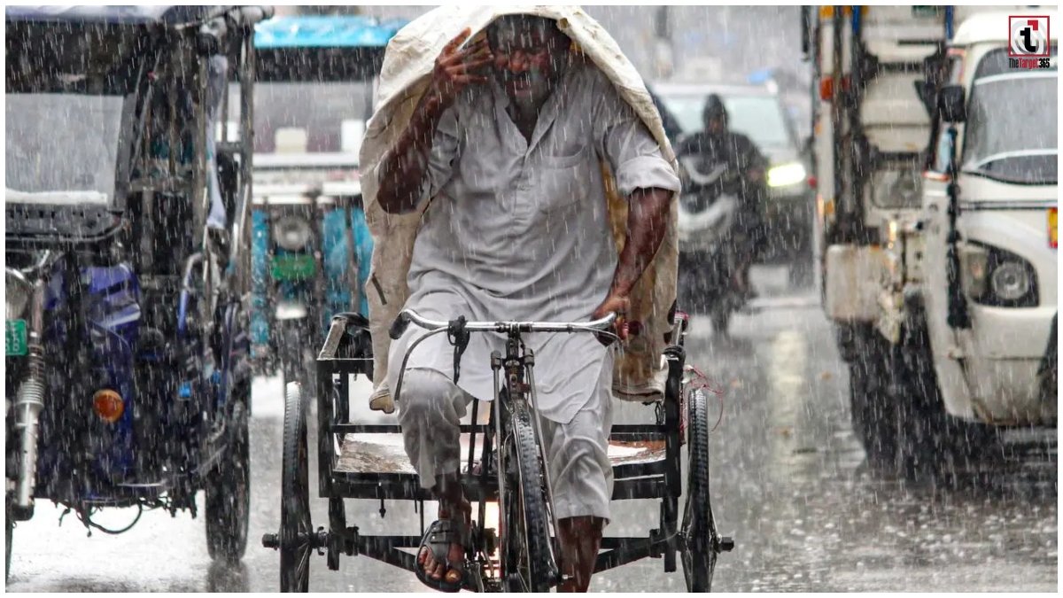 Heavy Rain Alert