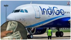 IndiGo News