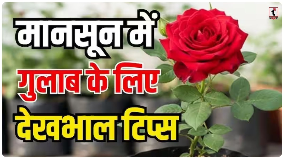 Monsoon Gardening