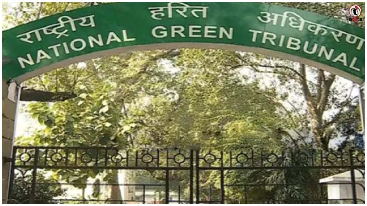 NGT Action